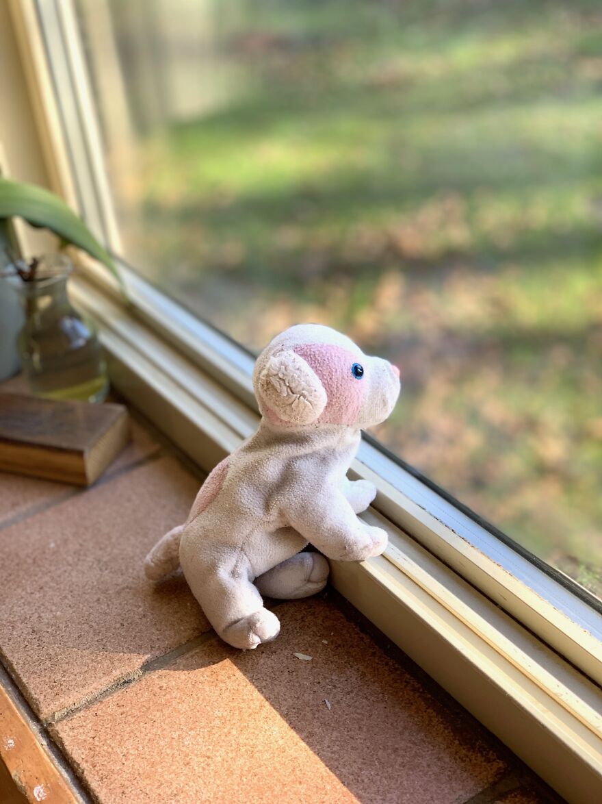 My Daughter Went To College And Left Her Childhood Toy At Home, So I Took These 40 Photos To Cheer Up And Fight The ‘Empty Nest Syndrome’ My Daughter Went To College And Left Her Childhood Toy At Home, So I Took These 40 Photos To Cheer Up And Fight The ‘Empty Nest Syndrome’