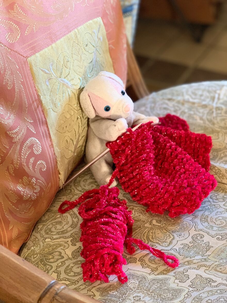 My Daughter Went To College And Left Her Childhood Toy At Home, So I Took These 40 Photos To Cheer Up And Fight The ‘Empty Nest Syndrome’ My Daughter Went To College And Left Her Childhood Toy At Home, So I Took These 40 Photos To Cheer Up And Fight The ‘Empty Nest Syndrome’