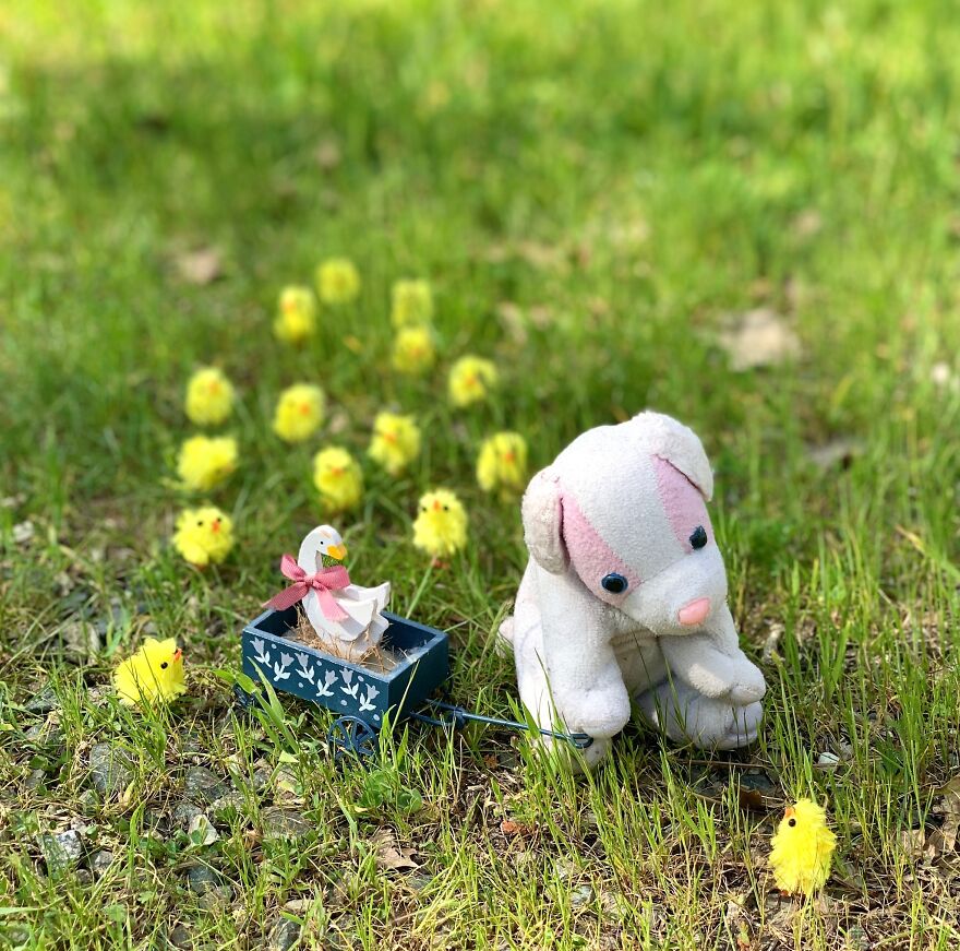 My Daughter Went To College And Left Her Childhood Toy At Home, So I Took These 40 Photos To Cheer Up And Fight The ‘Empty Nest Syndrome’ My Daughter Went To College And Left Her Childhood Toy At Home, So I Took These 40 Photos To Cheer Up And Fight The ‘Empty Nest Syndrome’