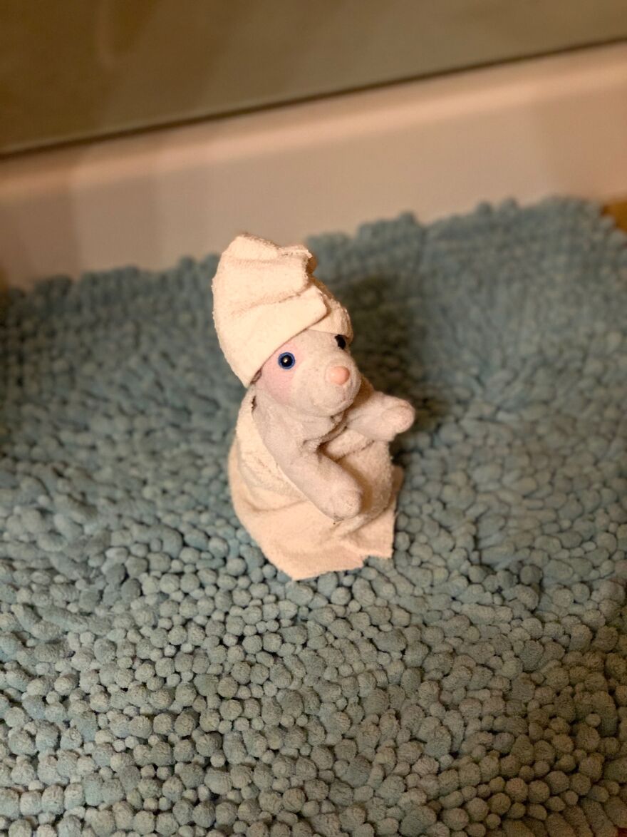 My Daughter Went To College And Left Her Childhood Toy At Home, So I Took These 40 Photos To Cheer Up And Fight The ‘Empty Nest Syndrome’ My Daughter Went To College And Left Her Childhood Toy At Home, So I Took These 40 Photos To Cheer Up And Fight The ‘Empty Nest Syndrome’