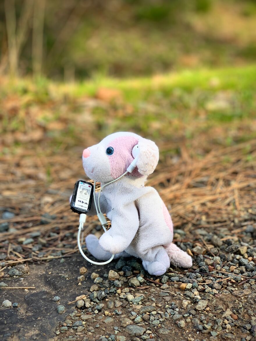 My Daughter Went To College And Left Her Childhood Toy At Home, So I Took These 40 Photos To Cheer Up And Fight The ‘Empty Nest Syndrome’ My Daughter Went To College And Left Her Childhood Toy At Home, So I Took These 40 Photos To Cheer Up And Fight The ‘Empty Nest Syndrome’