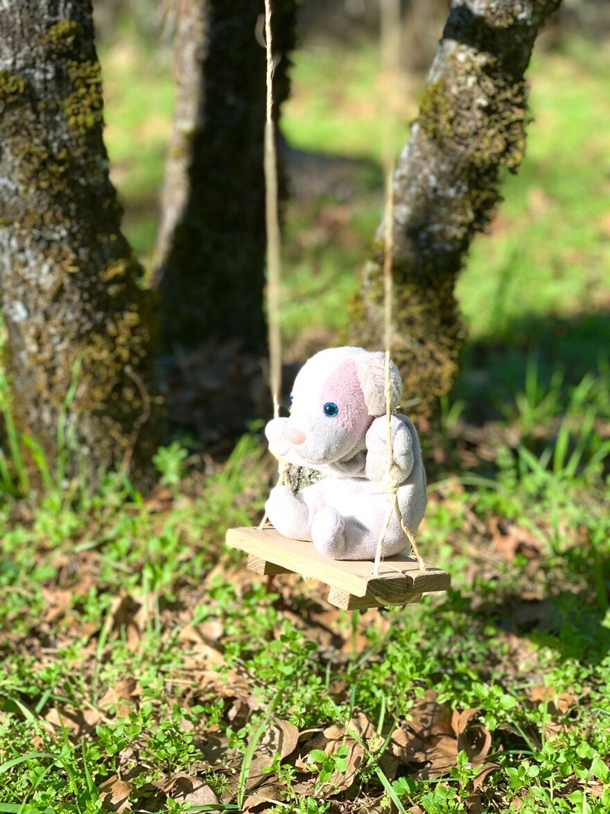 My Daughter Went To College And Left Her Childhood Toy At Home, So I Took These 40 Photos To Cheer Up And Fight The ‘Empty Nest Syndrome’ My Daughter Went To College And Left Her Childhood Toy At Home, So I Took These 40 Photos To Cheer Up And Fight The ‘Empty Nest Syndrome’