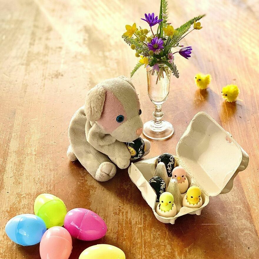 My Daughter Went To College And Left Her Childhood Toy At Home, So I Took These 40 Photos To Cheer Up And Fight The ‘Empty Nest Syndrome’ My Daughter Went To College And Left Her Childhood Toy At Home, So I Took These 40 Photos To Cheer Up And Fight The ‘Empty Nest Syndrome’