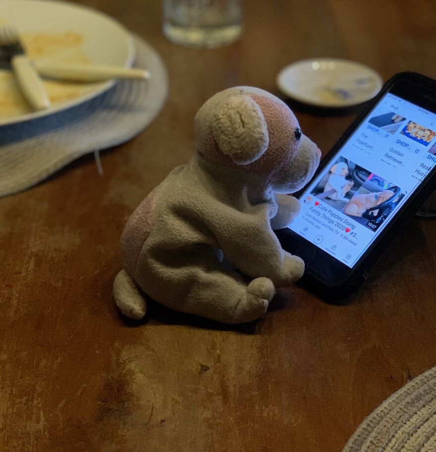 My Daughter Went To College And Left Her Childhood Toy At Home, So I Took These 40 Photos To Cheer Up And Fight The ‘Empty Nest Syndrome’ My Daughter Went To College And Left Her Childhood Toy At Home, So I Took These 40 Photos To Cheer Up And Fight The ‘Empty Nest Syndrome’