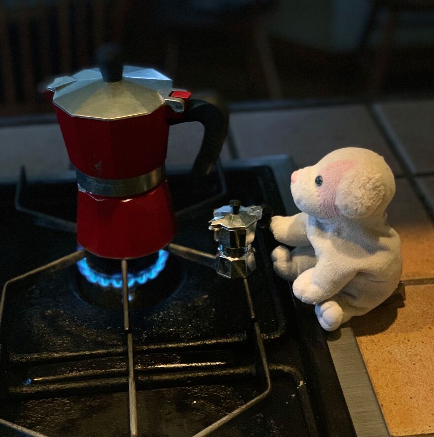 My Daughter Went To College And Left Her Childhood Toy At Home, So I Took These 40 Photos To Cheer Up And Fight The ‘Empty Nest Syndrome’ My Daughter Went To College And Left Her Childhood Toy At Home, So I Took These 40 Photos To Cheer Up And Fight The ‘Empty Nest Syndrome’