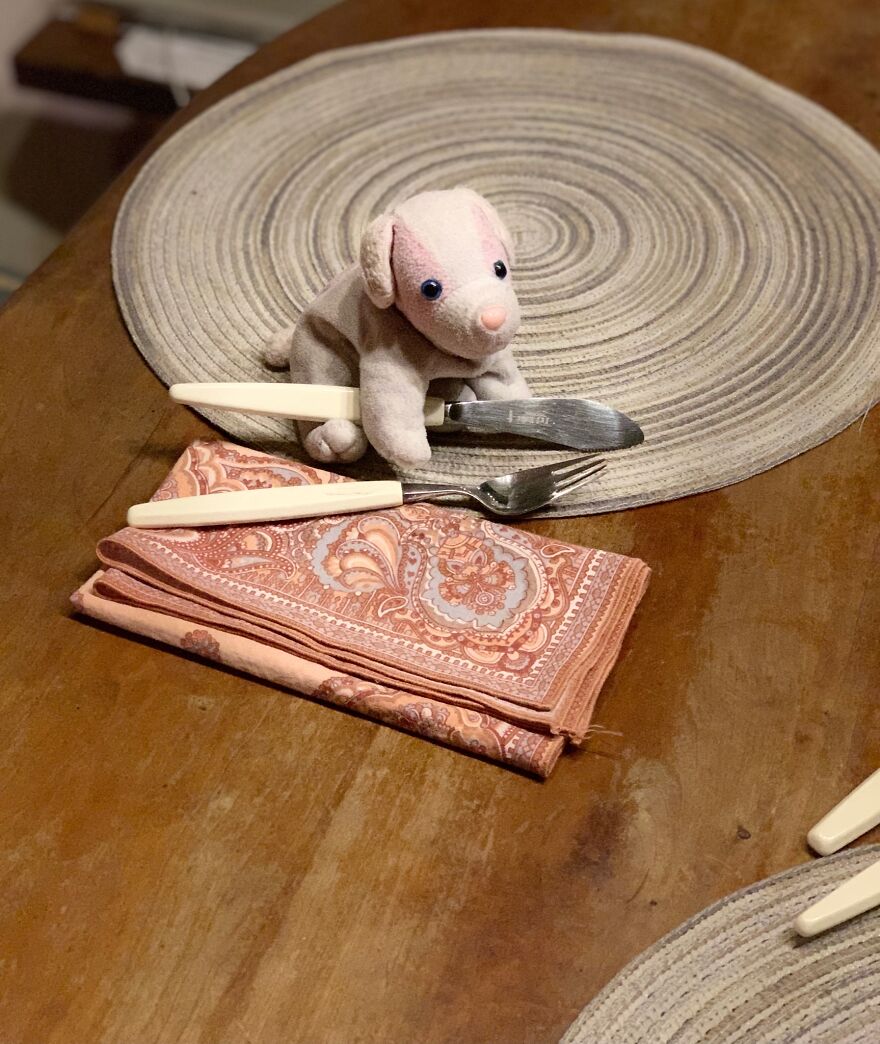 My Daughter Went To College And Left Her Childhood Toy At Home, So I Took These 40 Photos To Cheer Up And Fight The ‘Empty Nest Syndrome’ My Daughter Went To College And Left Her Childhood Toy At Home, So I Took These 40 Photos To Cheer Up And Fight The ‘Empty Nest Syndrome’