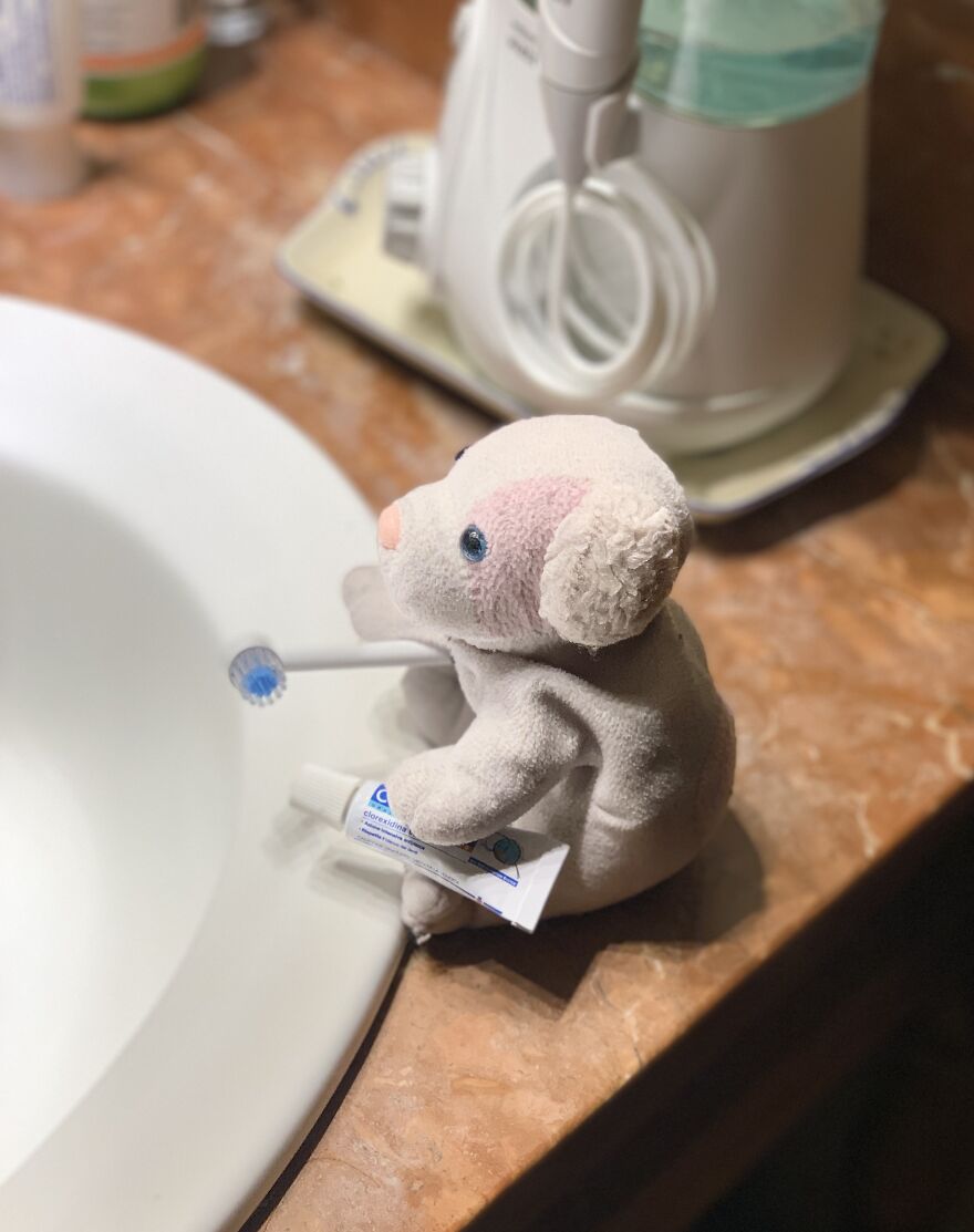 My Daughter Went To College And Left Her Childhood Toy At Home, So I Took These 40 Photos To Cheer Up And Fight The ‘Empty Nest Syndrome’ My Daughter Went To College And Left Her Childhood Toy At Home, So I Took These 40 Photos To Cheer Up And Fight The ‘Empty Nest Syndrome’