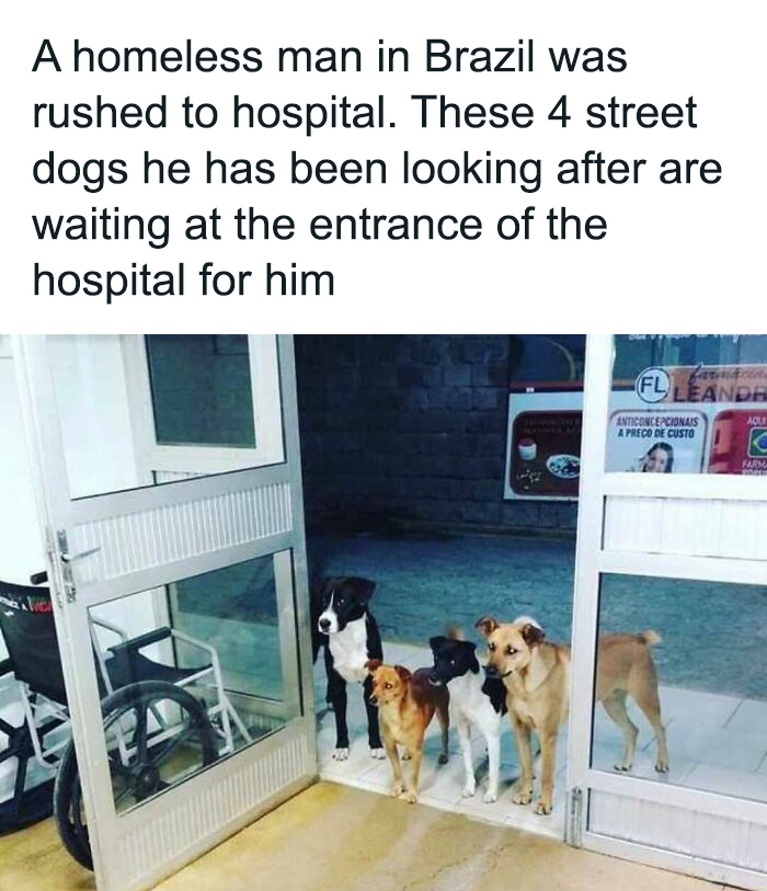 50 Funny And Chaotic Tweets And Pics Shared By This Instagram Account