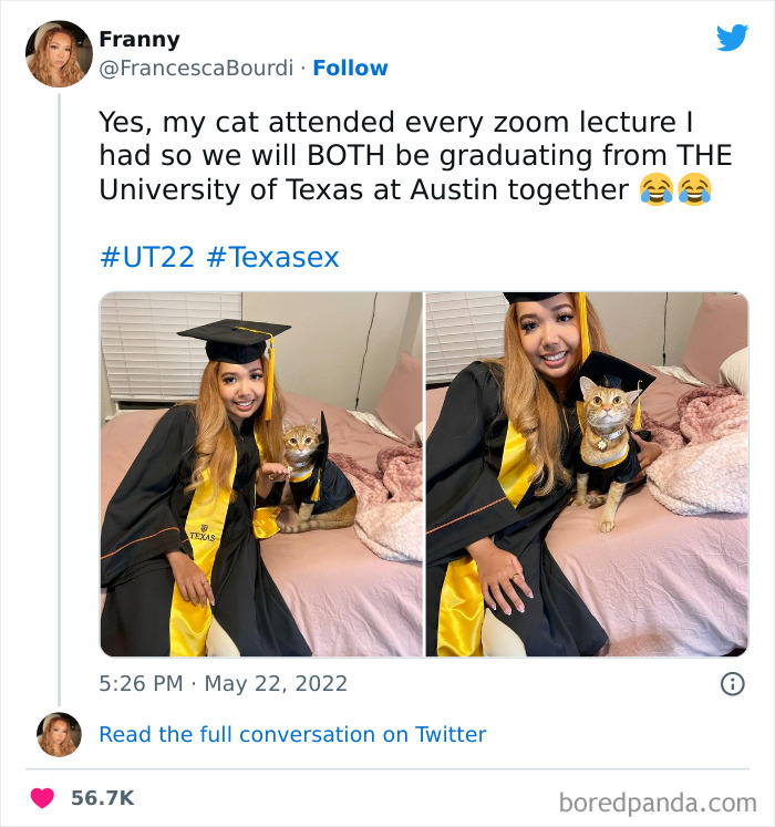 35 Zoom Memes Shared On This Online Group With Almost A Million Members (New Posts) 35 Zoom Memes Shared On This Online Group With Almost A Million Members (New Posts)