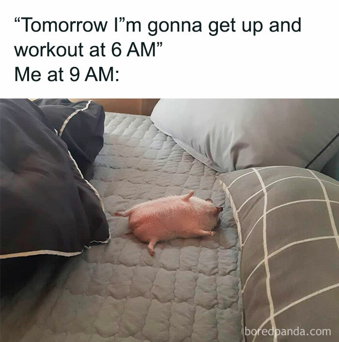 35 Zoom Memes Shared On This Online Group With Almost A Million Members (New Posts) 35 Zoom Memes Shared On This Online Group With Almost A Million Members (New Posts)