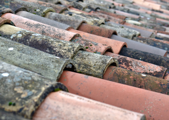 People Are Sharing Examples Of Where Frugality Is Taken Too Far, And Things That Are Actually Worth The Money (30 Answers)