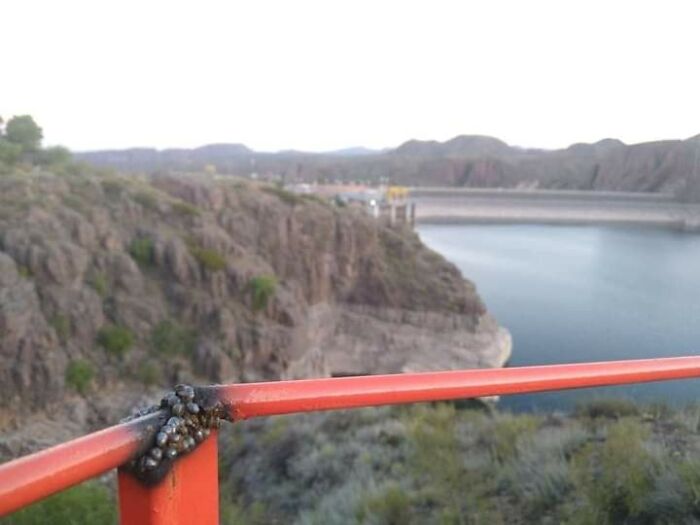 50 Times People Didn’t Give A Heck About OSHA Safety Regulations And Did What They Had To Do, As Shared On This Facebook Group 50 Times People Didn’t Give A Heck About OSHA Safety Regulations And Did What They Had To Do, As Shared On This Facebook Group