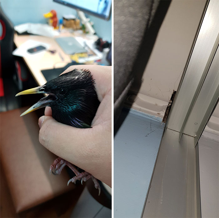 People Who Experienced &#8220;One-In-A-Million&#8221; Situations Share Their Fascinating Stories