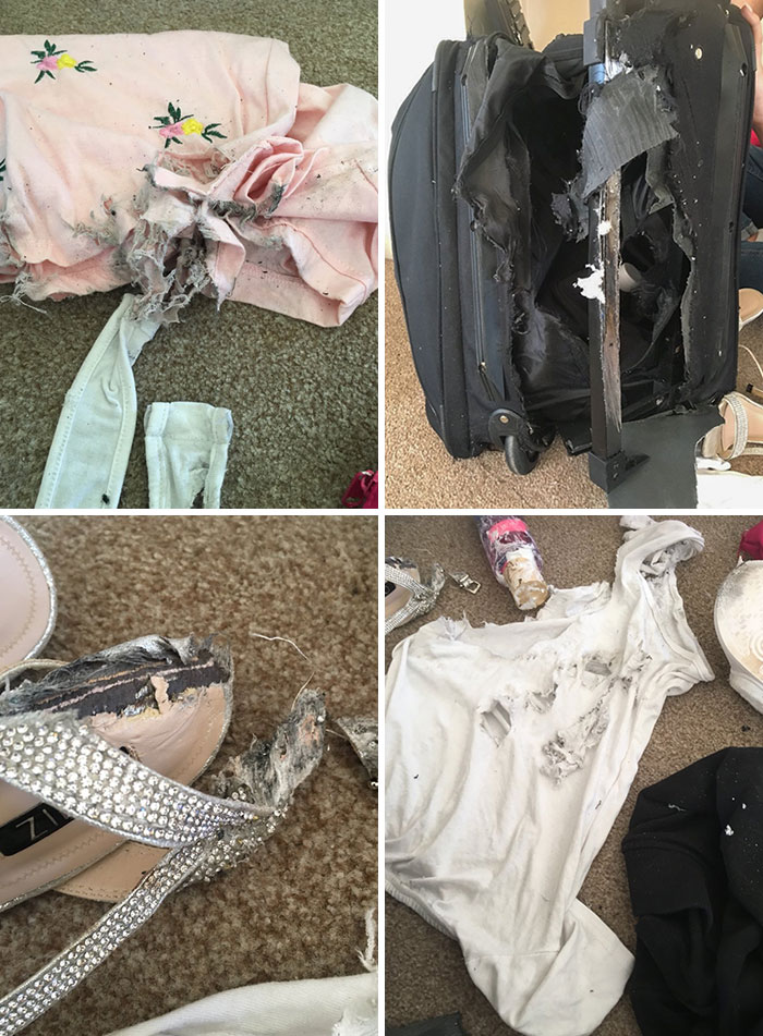40 People Share Pics Of Airlines Completely Ruining Their Baggage 40 People Share Pics Of Airlines Completely Ruining Their Baggage