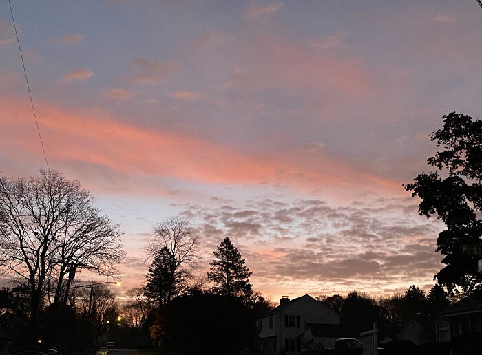 Hey Pandas, Show Us Where You Are While Scrolling Through Bored Panda (Closed)