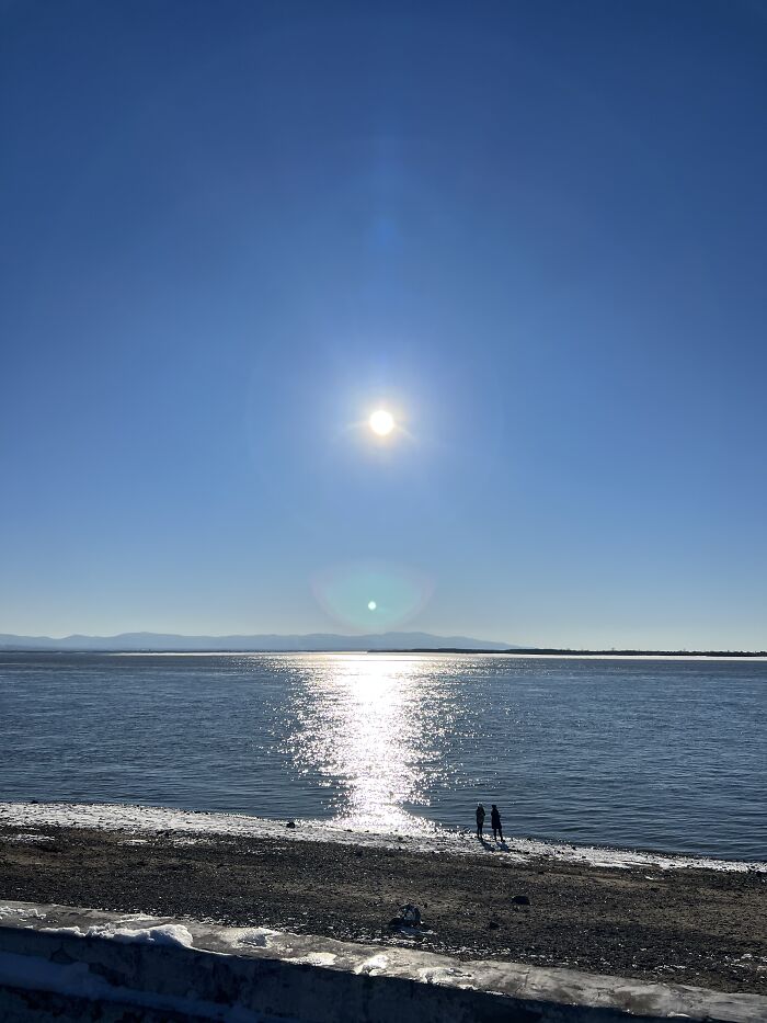 Hey Pandas, Show Us Where You Are While Scrolling Through Bored Panda (Closed) Hey Pandas, Show Us Where You Are While Scrolling Through Bored Panda (Closed)