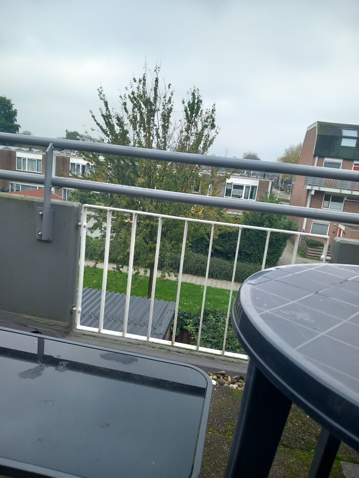 Hey Pandas, Show Us Where You Are While Scrolling Through Bored Panda (Closed)