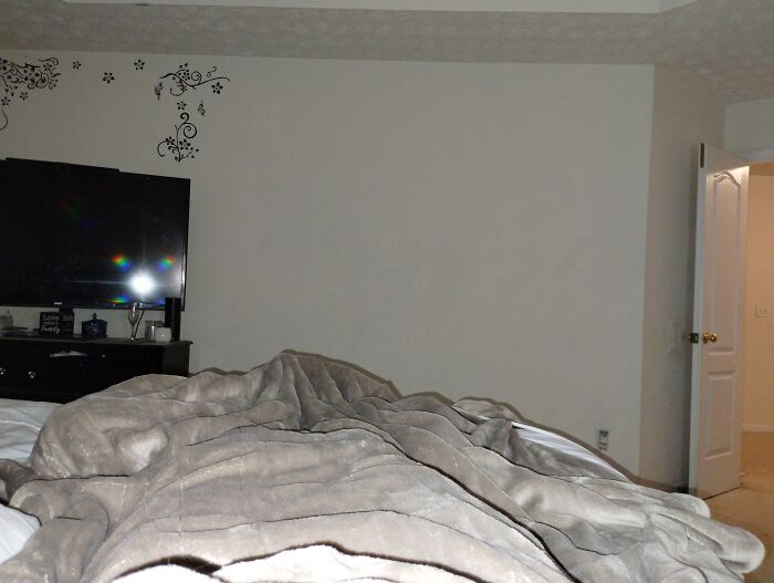 Hey Pandas, Show Us Where You Are While Scrolling Through Bored Panda (Closed)