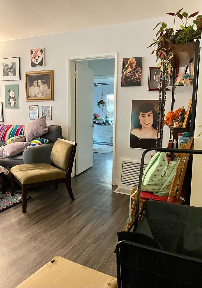 Hey Pandas, Show Us Where You Are While Scrolling Through Bored Panda (Closed)