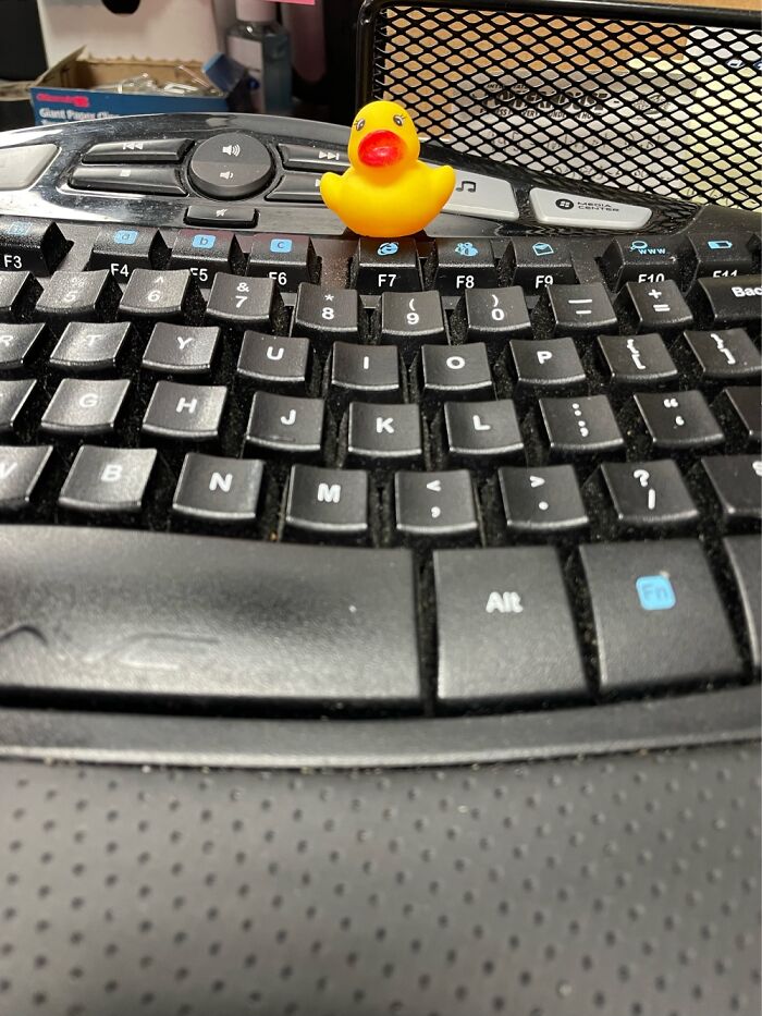 Hey Pandas, Show Us Where You Are While Scrolling Through Bored Panda (Closed)