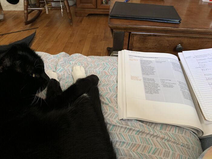 Hey Pandas, Show Us Where You Are While Scrolling Through Bored Panda (Closed)