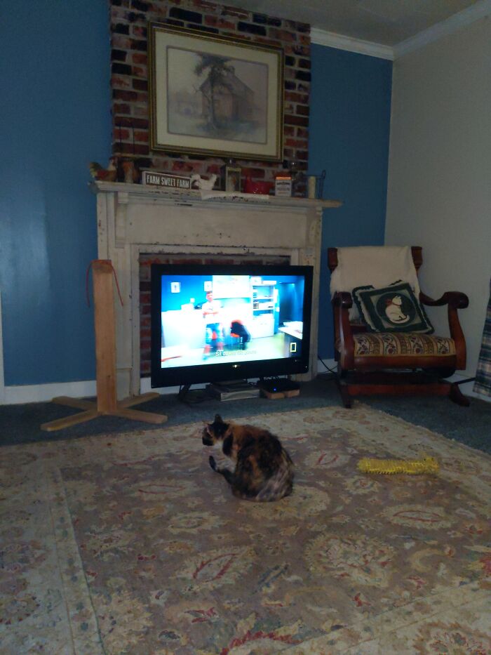 Hey Pandas, Show Us Where You Are While Scrolling Through Bored Panda (Closed) Hey Pandas, Show Us Where You Are While Scrolling Through Bored Panda (Closed)