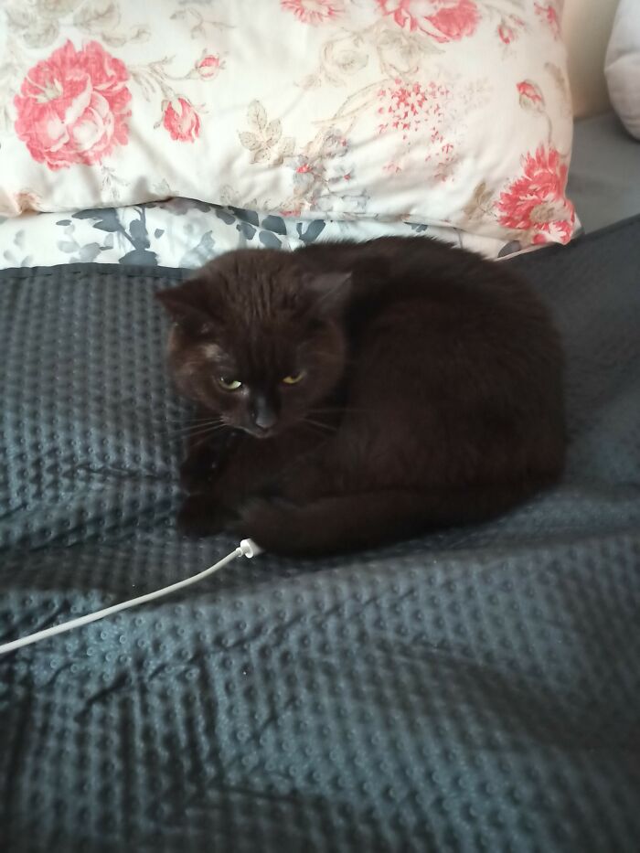 Hey Pandas, Show Us Where You Are While Scrolling Through Bored Panda (Closed) Hey Pandas, Show Us Where You Are While Scrolling Through Bored Panda (Closed)