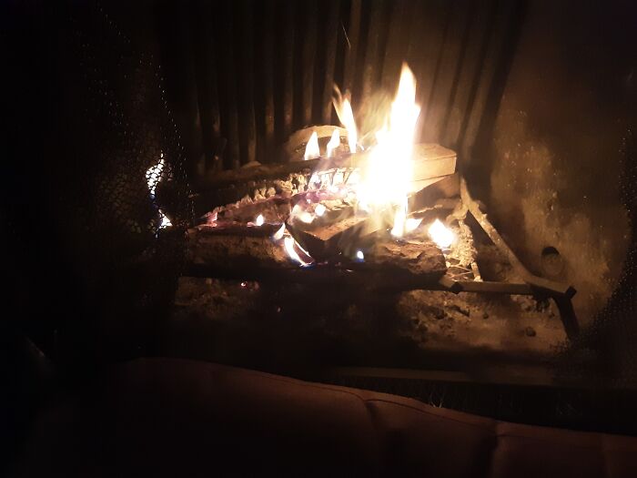 Hey Pandas, Show Us Where You Are While Scrolling Through Bored Panda (Closed)