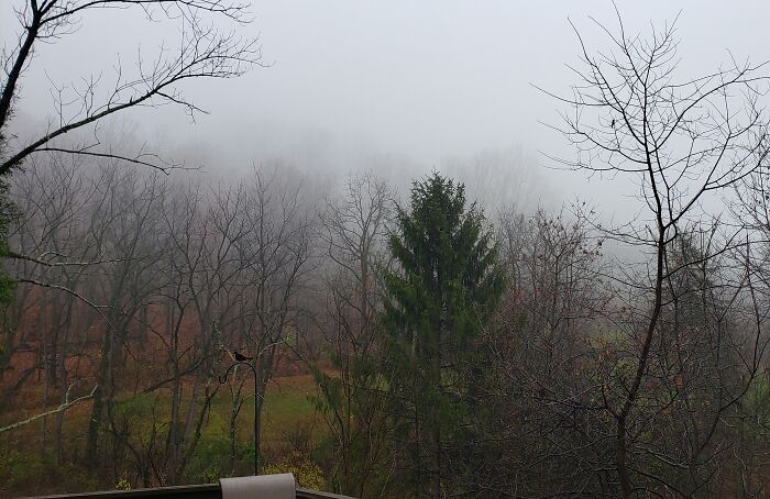 Hey Pandas, Show Us Where You Are While Scrolling Through Bored Panda (Closed)