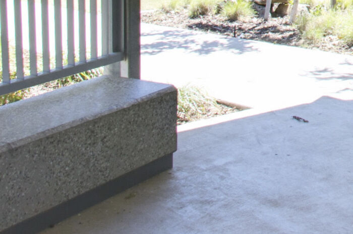 Hey Pandas, Show Us Where You Are While Scrolling Through Bored Panda (Closed)