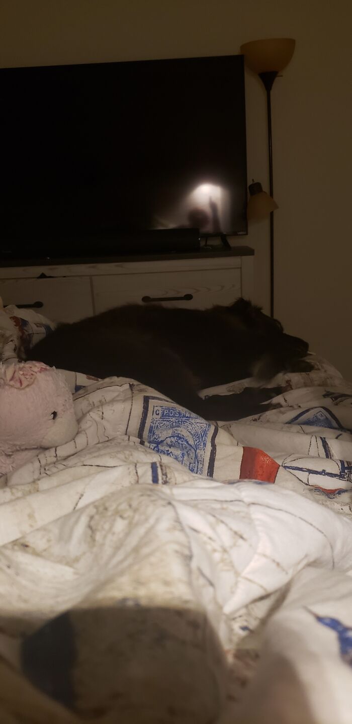 Hey Pandas, Show Us Where You Are While Scrolling Through Bored Panda (Closed)