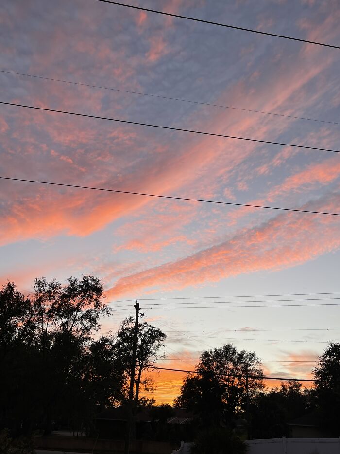 Hey Pandas, Show Us Where You Are While Scrolling Through Bored Panda (Closed) Hey Pandas, Show Us Where You Are While Scrolling Through Bored Panda (Closed)