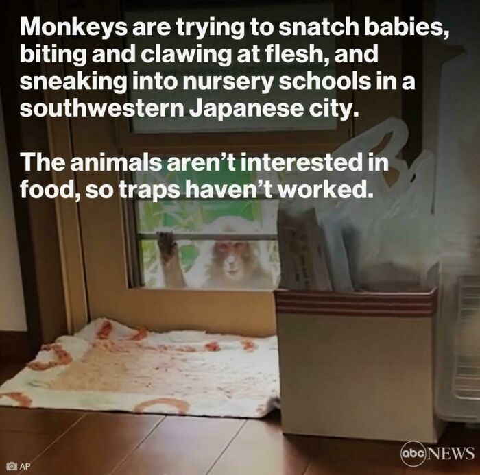 50 “Interesting And Absolutely Terrifying” Images That Are Not For The Faint-Hearted