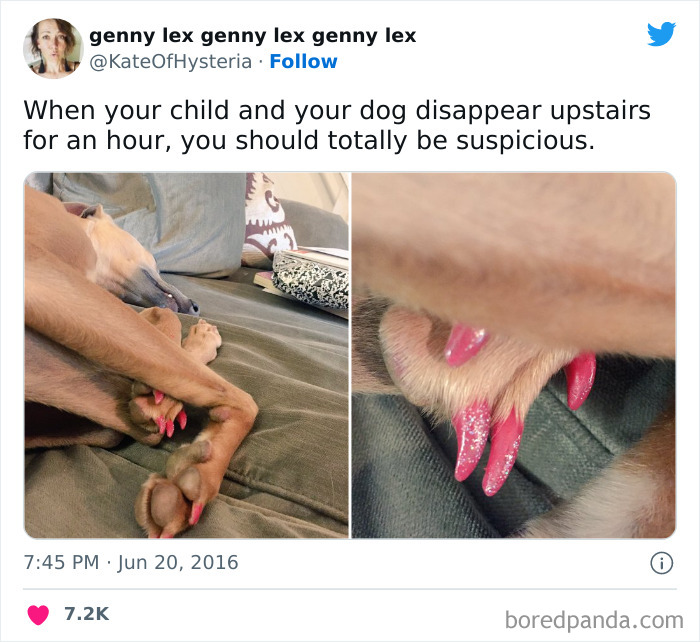 Moms Of Twitter Reveal Some Funny Things That Happen To Them While Raising Kids (50 Jokes) Moms Of Twitter Reveal Some Funny Things That Happen To Them While Raising Kids (50 Jokes)