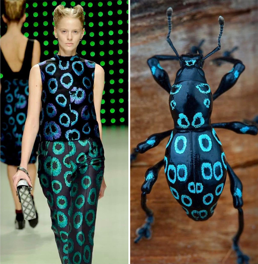 Fashion Often Draws Inspiration From Nature And This Instagram Account Proves It (30 New Pics) Fashion Often Draws Inspiration From Nature And This Instagram Account Proves It (30 New Pics)