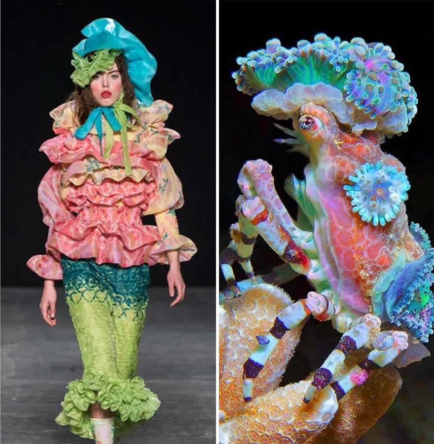 Fashion Often Draws Inspiration From Nature And This Instagram Account Proves It (30 New Pics) Fashion Often Draws Inspiration From Nature And This Instagram Account Proves It (30 New Pics)