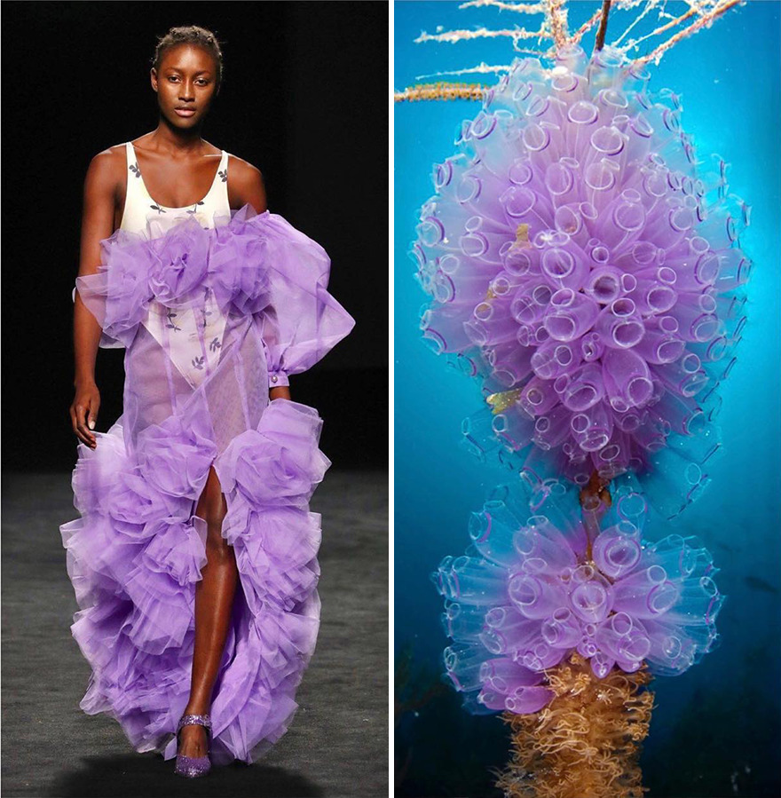 Fashion Often Draws Inspiration From Nature And This Instagram Account Proves It (30 New Pics) Fashion Often Draws Inspiration From Nature And This Instagram Account Proves It (30 New Pics)