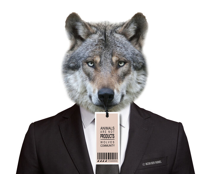 Animals Are Not Products (6 Pics) Animals Are Not Products (6 Pics)