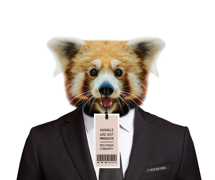 Animals Are Not Products (6 Pics) Animals Are Not Products (6 Pics)