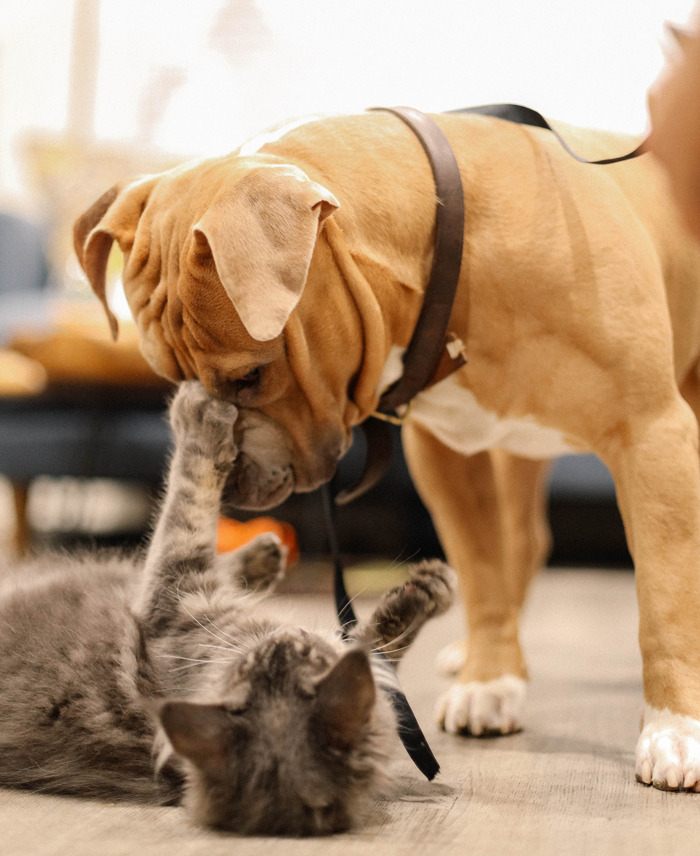 150 Of The Most Curious Questions For Kids 150 Of The Most Curious Questions For Kids