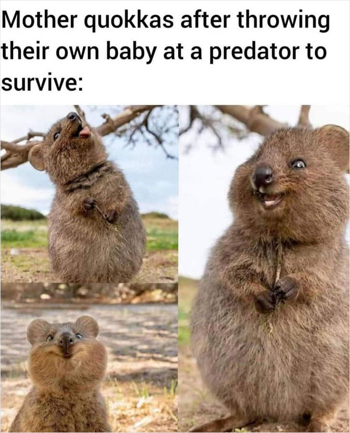 People Are Cracking Up At These 40 Dark Memes And Posts About Nature, The Planet, And All Living Things, As Shared By This Facebook Group People Are Cracking Up At These 40 Dark Memes And Posts About Nature, The Planet, And All Living Things, As Shared By This Facebook Group