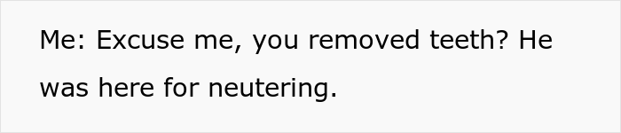 “I’m Upset That They Couldn’t Explain That Decision”: Guy Is Livid After Learning Vet Did A Surprise Tooth Extraction During His Pup’s Neutering