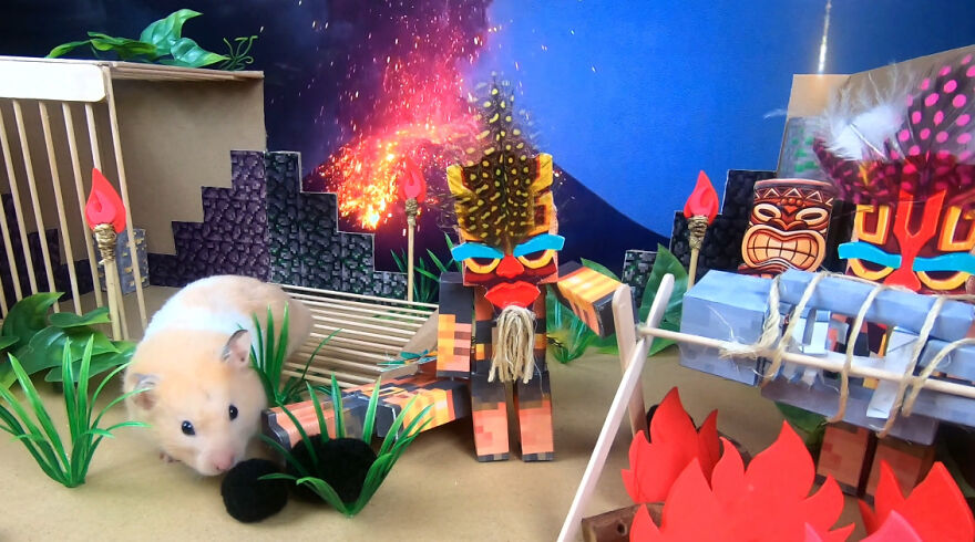 I Made A Video Of A Brave Hamster Escaping A Cannibal’s Prison In An Amazing Obstacle Course Which Is Like The Pet Version Of Indiana Jones (12 Pics) I Made A Video Of A Brave Hamster Escaping A Cannibal’s Prison In An Amazing Obstacle Course Which Is Like The Pet Version Of Indiana Jones (12 Pics)