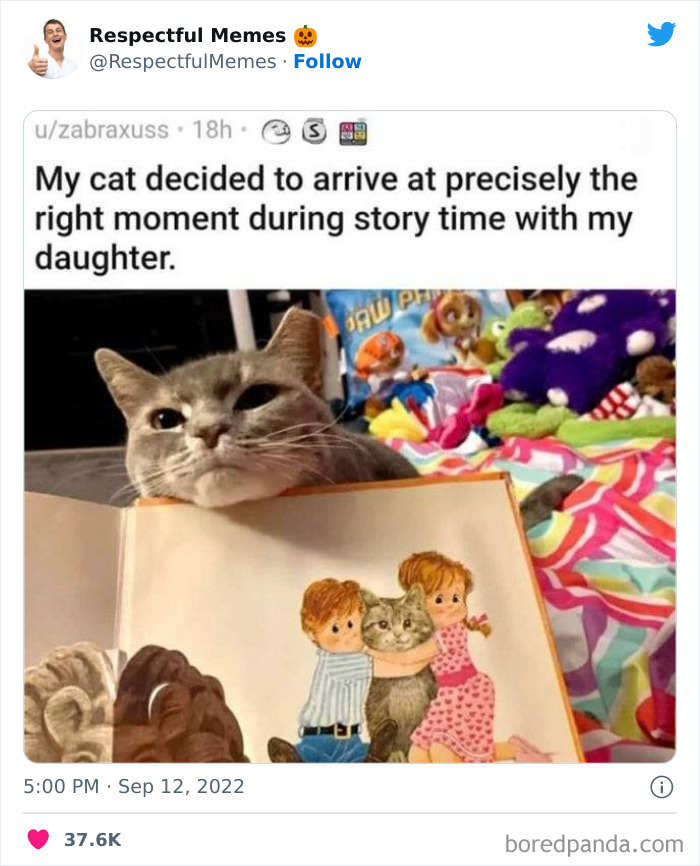 50 Memes That Are So Wholesome, You Can Even Show Them To Your Grandma (New Pics)