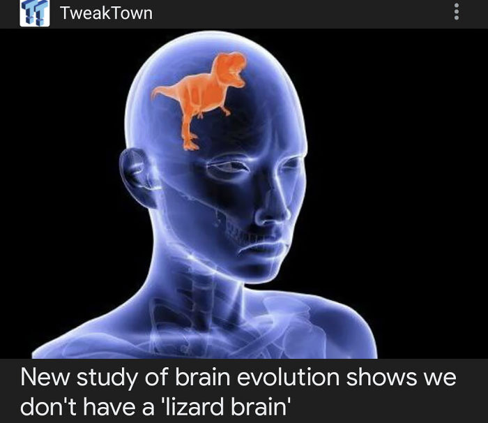 50 Of The Funniest And Most Absurd Thumbnails Spotted Online