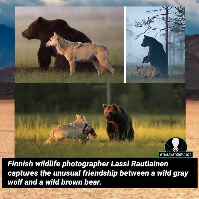 119 Disturbing And Morbid Facts That Might Freak You Out A Bit, As Shared By This Insta Page