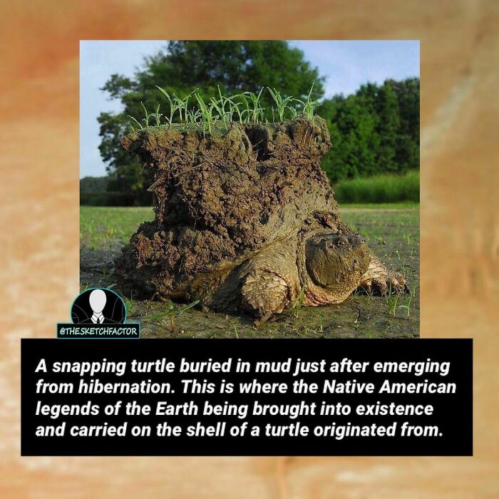 119 Disturbing And Morbid Facts That Might Freak You Out A Bit, As Shared By This Insta Page