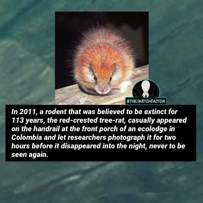 119 Disturbing And Morbid Facts That Might Freak You Out A Bit, As Shared By This Insta Page