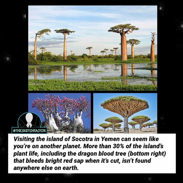 119 Disturbing And Morbid Facts That Might Freak You Out A Bit, As Shared By This Insta Page