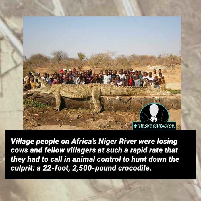 119 Disturbing And Morbid Facts That Might Freak You Out A Bit, As Shared By This Insta Page